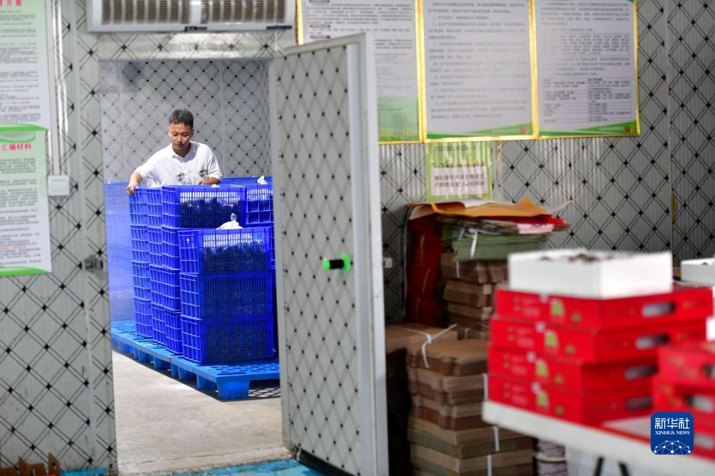 捕鱼游戏大厅大全
